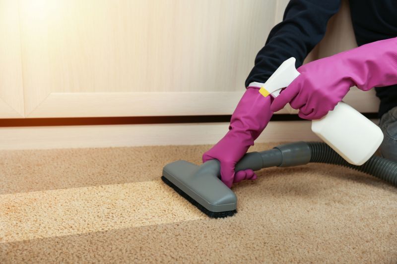 Restores Carpet Appearance
