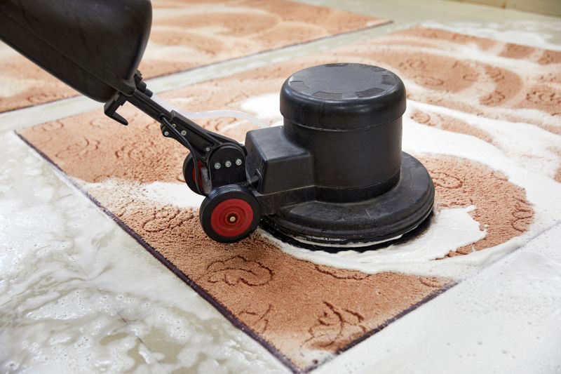 Prolongs Carpet Lifespan